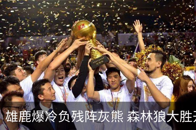雄鹿爆冷负残阵灰熊 森林狼大胜开拓者4连胜